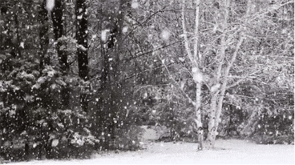 今冬將現(xiàn)拉尼娜 農(nóng)業(yè)如何應(yīng)對(duì)低溫雨雪大風(fēng)