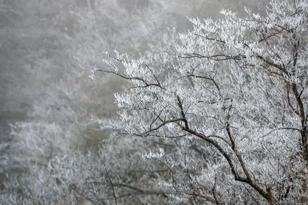 今年來最大范圍雨雪將影響超25省份 速戳進(jìn)程表看你家何時(shí)雪花飄